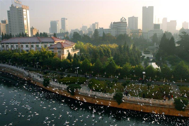 母親河盤龍江 http://www.rjxysw.com/